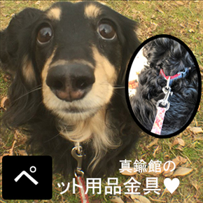 ペット用金具